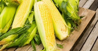 Corn: Everything You Should Know