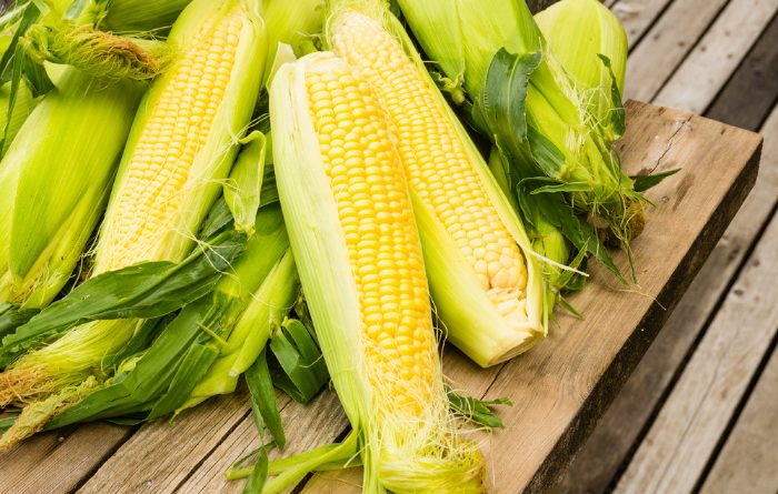 Corn: Everything You Should Know