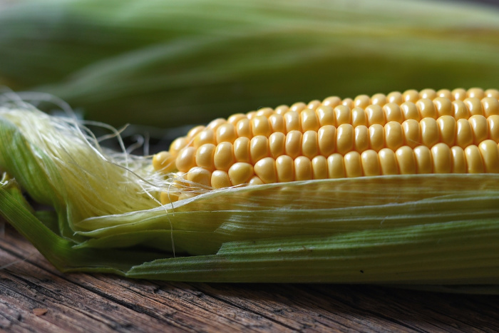 Corn: Everything You Should Know