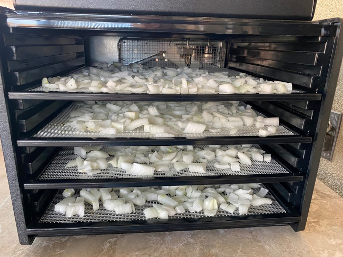 Onions in the dehydrator