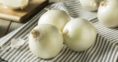 Onions on a piece of cloth