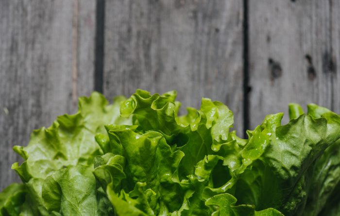 Lettuce: Everything You Need to Know