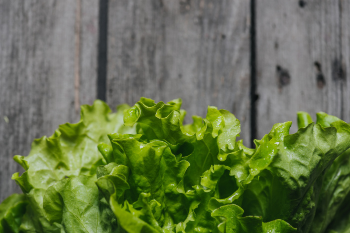 Lettuce: Everything You Need to Know