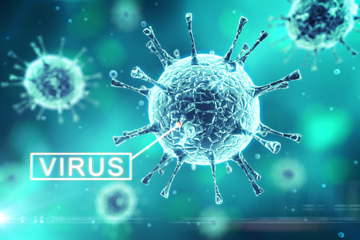 What Are Viruses: Everything you Need to Know 