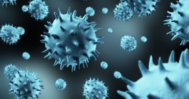 What Are Viruses: Everything you Need to Know
