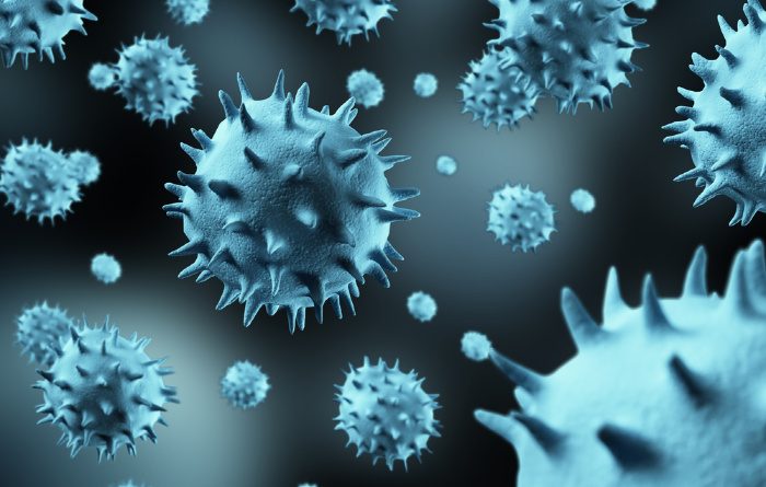 What Are Viruses: Everything you Need to Know