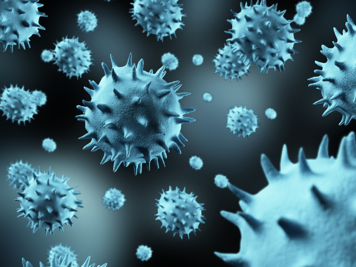 What Are Viruses: Everything You Need To Know