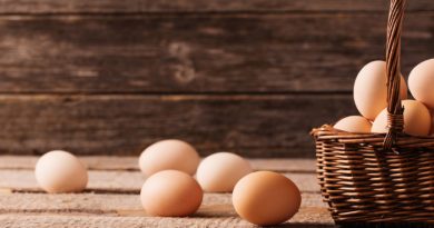 What Can You Use as an Egg Substitute? What Can You Use as an Egg Substitute?