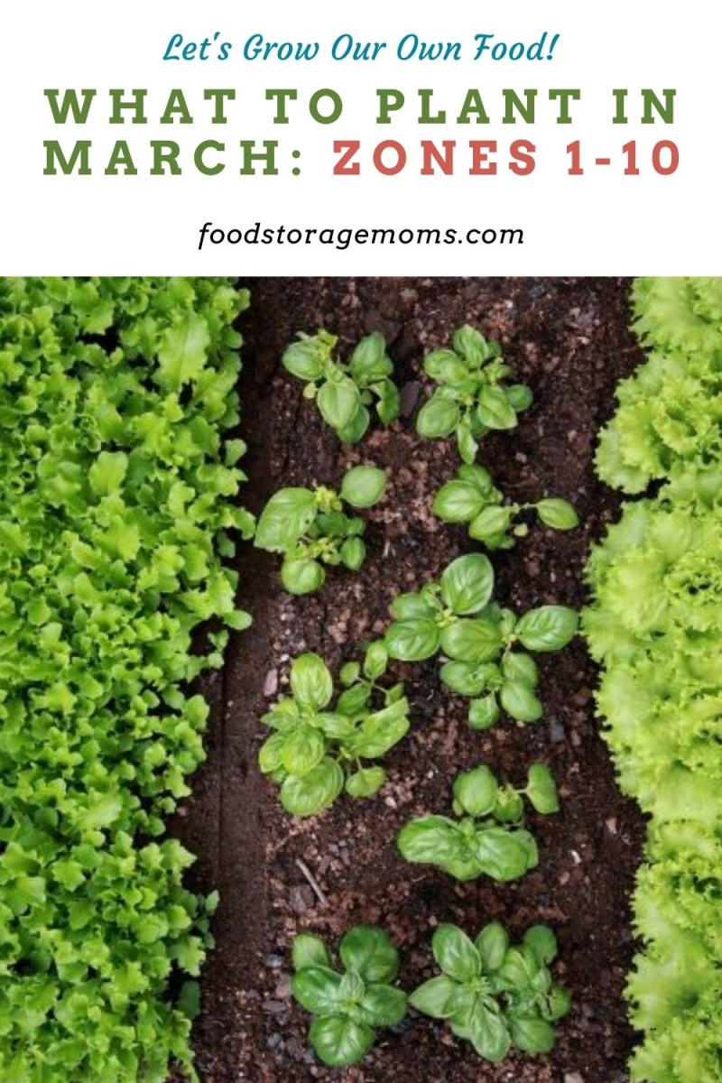 What To Plant In March-Zones 1-10