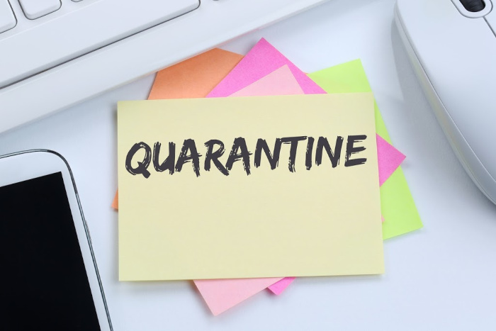 What to Do During the Coronavirus Quarantine