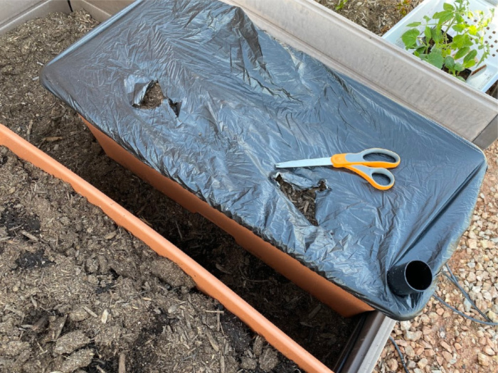 How To Plant Vegetables On Your Deck