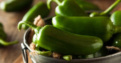 Jalapeños in a bucket