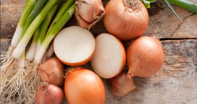 Onions: Everything You Need to Know