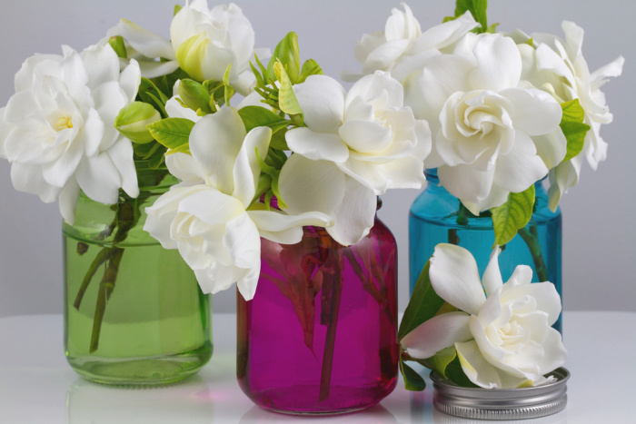 Mason Jars with Flowers