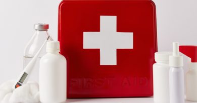 First Aid Kit Ideas For Your Pet