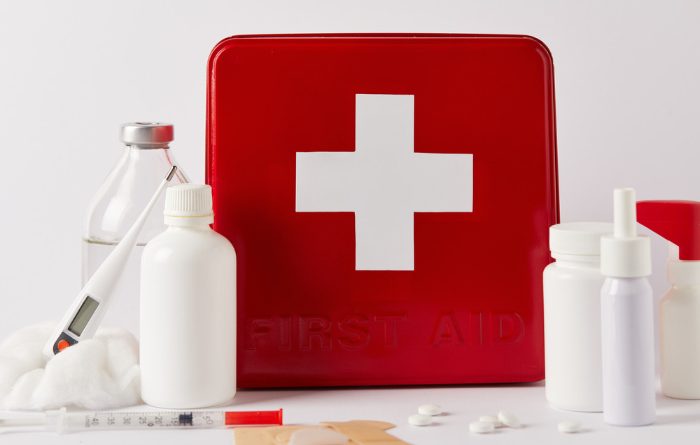 First Aid Kit Ideas For Your Pet