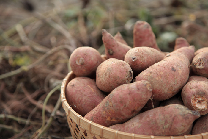Sweet Potatoes: Everything You Need to Know