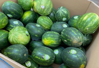 Watermelon