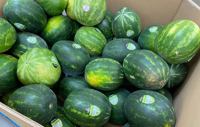 Watermelon