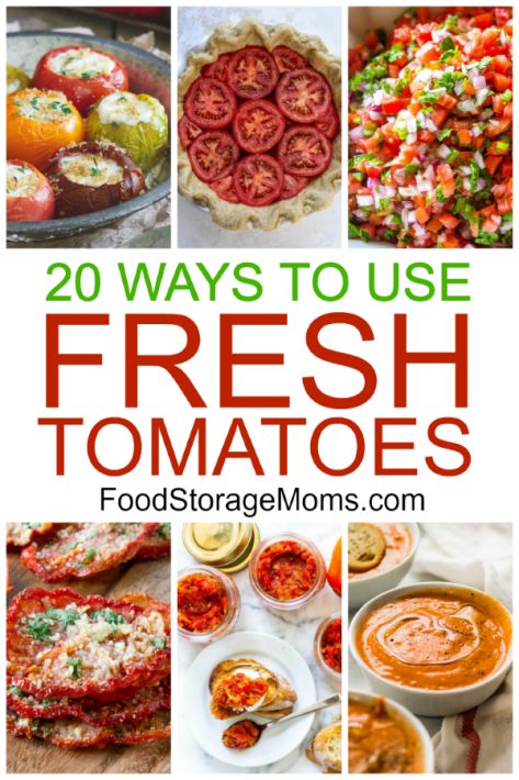 20 Ways To Use Fresh Tomatoes