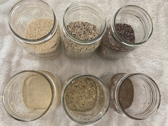 How To Cook Quinoa and Store It