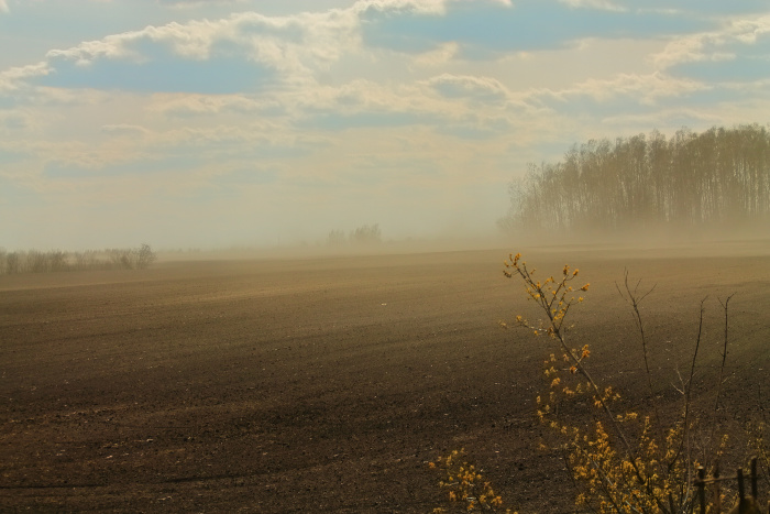 Dust Storm over Agriculture