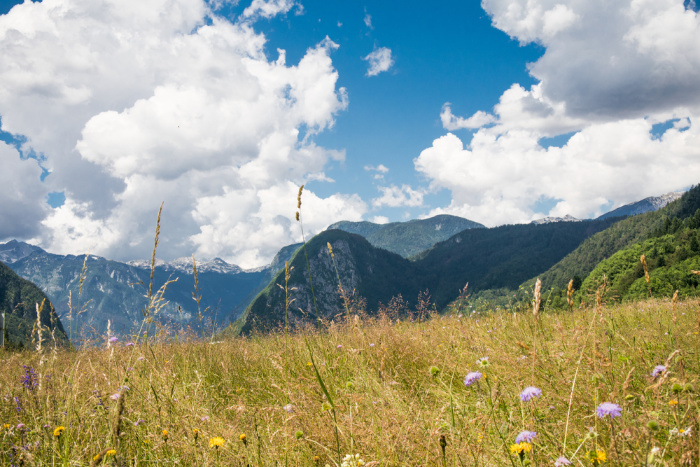 Sunshine in the Mountains