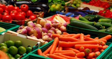Why You Should Support Your Local Farmer's Market