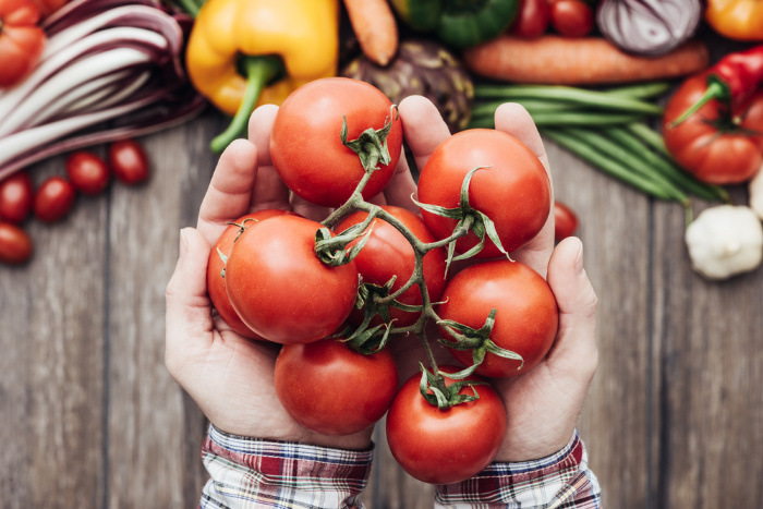 Tomatoes on the Vine