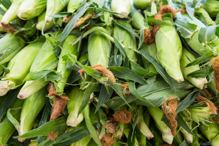 Fresh Corn at a Farmer's Market