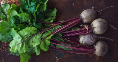 Alkaline Foods: What You Should Know
