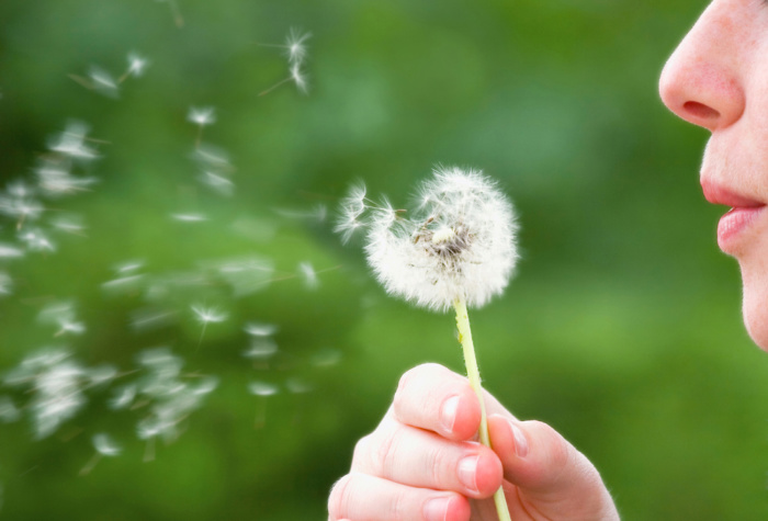 Allergies: What You Need to Know