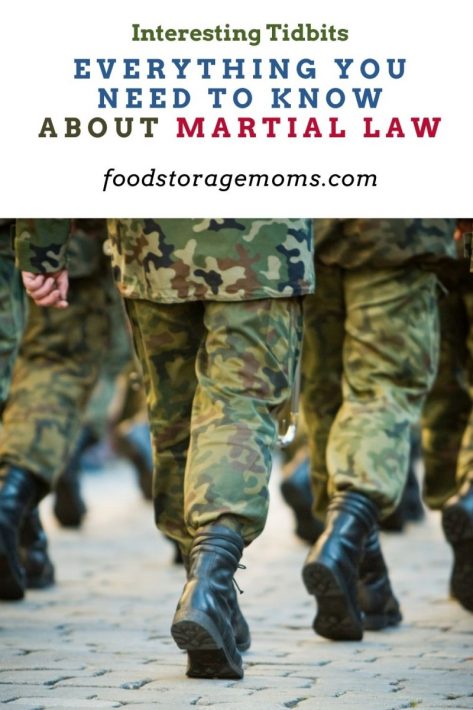 Everything You Need to Know About Martial Law