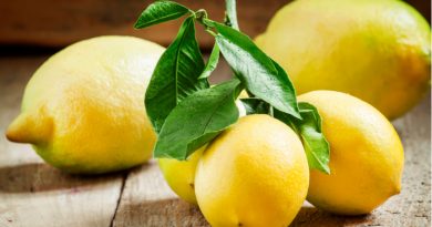 Lemons: Everything You Need to Know