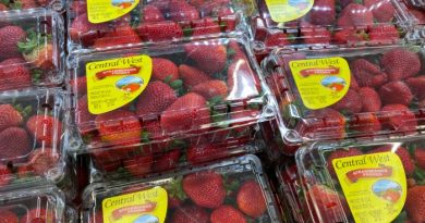 Strawberries