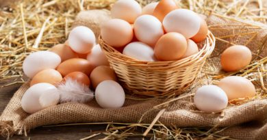 How to Freeze Eggs: Everything You Need to Know