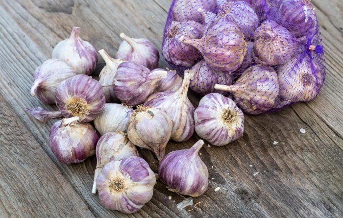 What to Plant in September-Zones 1-10