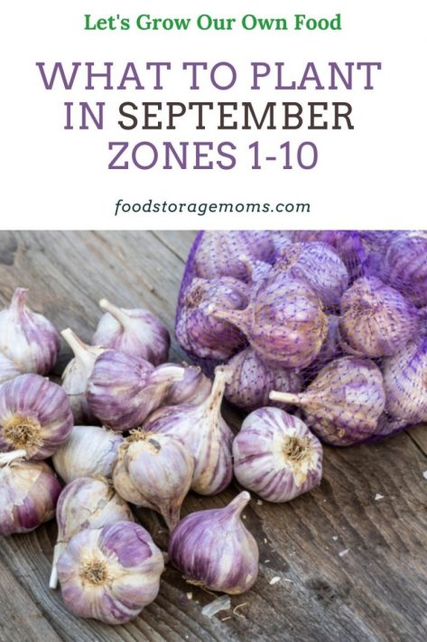What to Plant in September-Zones 1-10