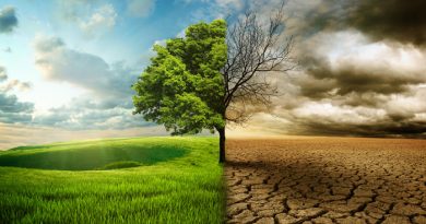 Coronavirus and Climate Change: What They Have in Common