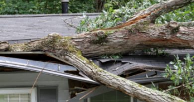 Winds: What You Need To Do Before They Hit