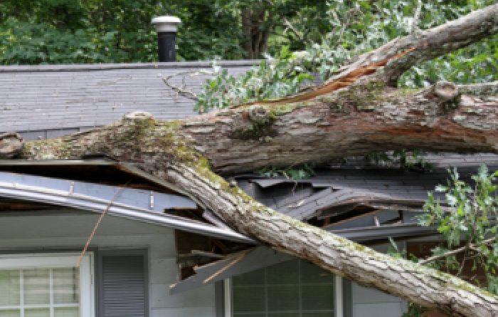 Winds: What You Need To Do Before They Hit