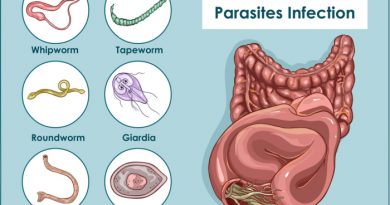 Dealing with Parasites: How to Heal Yourself