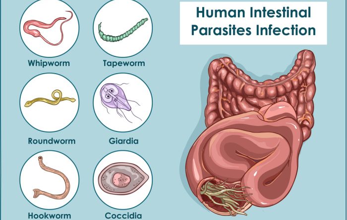 Dealing with Parasites: How to Heal Yourself