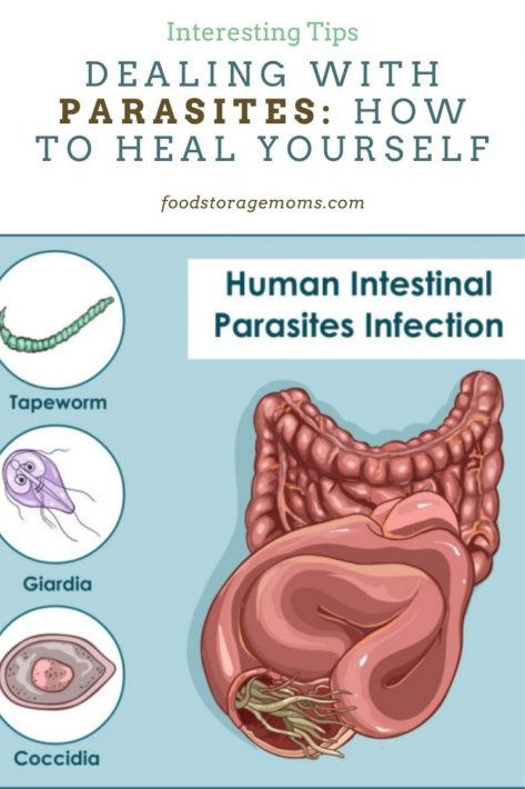 Dealing with Parasites: How to Heal Yourself