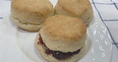 Easy 2-Ingredient Biscuit Recipe