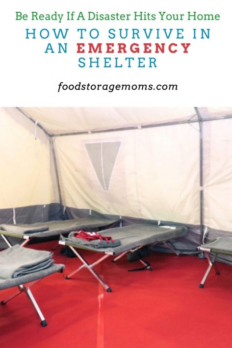 How to Survive in an Emergency Shelter