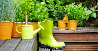 Use These 7 Top Household Items as a Fertilizer