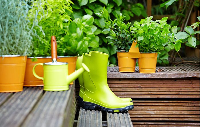 Use These 7 Top Household Items as a Fertilizer