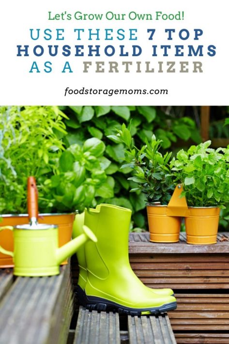 Use These 7 Top Household Items as a Fertilizer