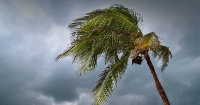 What to Do Before a Tropical Storm Hits